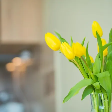 Myflat 812 Διαμέρισμα *