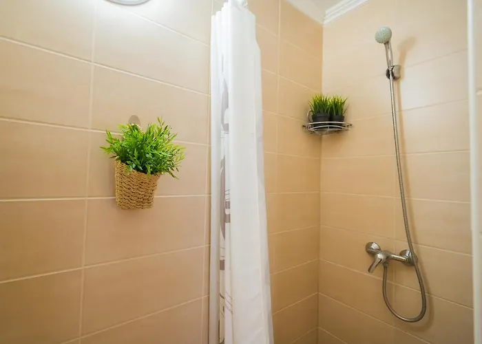 Myflat 812 *