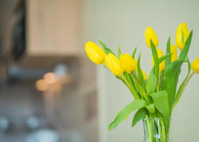 Myflat 812 Apartment *